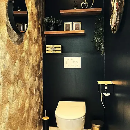 Appartement Gezellig In Het Westen Van Wezet Centrum Van Beschaving Visé